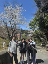 IMG_4589.JPEG