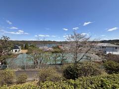 IMG_5741.JPG