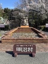 IMG_5767.JPG